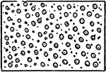 The typical representation of cotton on a topographical map.