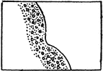 The typical representation of shores and low-water lines with gravel and rocks on a topographical map.