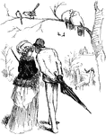 An illustration of a couple walking under a tree.