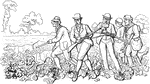 An illustration of a group of men walking through a field holding shotguns.