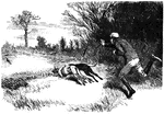 An illustration of two hounds chasing a rabbit with the owner chasing the hounds.