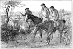 An illustration of three men riding horses in the countryside.