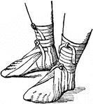 A sandal worn in Ancient Rome. This sandal is different from Greek sandals because it has a vamp, or upper support.