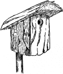 An illustration of a slab bird box.