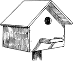 An illustration of a bird house for a tree swallow.