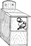 An illustration of a bird house with a slide front.