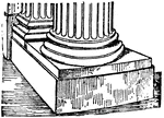 The scamillus is the piece of stone sitting directly underneath a column.
