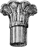 A capital with palm decoration.