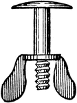 A carriage bolt with a truss head and a wing nut.
