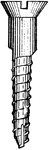 A wood screw with a flat head and slotted drive. Wood screws are unthreaded below the head and designed for attaching two pieces of wood.