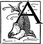 Capital letter "A" with fish.