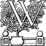 Capital letter "W" with potted tree.