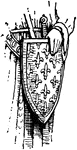 A shield showing the sem&eacute; pattern of Fleurs-de-lis.