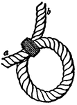 An illustration of a Turning in a Dead-Eye End Up knot.