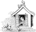 A young girl feeding pigeons from her bedroom window.