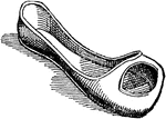 A duckbill shoe of the 15th century.