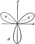 "In geometry, certain transcendental curves having, in polar coordinates, equations of the form &rho; = a cos b &theta;. A, three-leaved rose of equation &rho; = a sin 3 &theta;." -Whitney, 1911