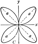 "In geometry, certain transcendental curves having, in polar coordinates, equations of the form &rho; = a cos b &theta. C, four-leaved rose of equation &rho; = a sin 2 &theta." -Whitney, 1911