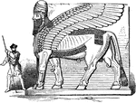 The Sumerian word lama, which is rendered in Akkadian as lamassu, refers to a beneficient protective female deity. The corresponding male deity was called alad, in Akkadian, &scaron;&ecirc;du. In art they were depicted as hybrids, as winged bulls or lions with the head of a human male (Centauroid). There are still surviving figures of &scaron;&ecirc;du in bas-relief and some statues in museums. Notable examples of &scaron;&ecirc;du/lamassu held by museums include those at the British Museum, Mus&eacute;e du Louvre, National Museum of Iraq, Metropolitan Museum of Art and one extremely large example kept at the Oriental Institute, Chicago. They are generally attributed to the ancient Assyrians.