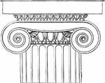 In the capital the Doric echinus is replaced either by a cyma ornamented with leaves, or, more generally, by an ovolo with a pearl-beading beneath. Instead of the Doric abacus there occurs a cushion-like band in its place, whose ends wound in a spiral shape and coiled with elastic force, when viewed either from in front or behind, formed volutes, which on both sides considerably exceed the diameter of the column, and also surpass the architrave in breadth.