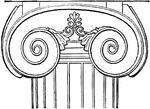 In the capital the Doric echinus is replaced either by a cyma ornamented with leaves, or, more generally, by an ovolo with a pearl-beading beneath. Instead of the Doric abacus there occurs a cushion-like band in its place, whose ends wound in a spiral shape and coiled with elastic force, when viewed either from in front or behind, formed volutes, which on both sides considerably exceed the diameter of the column, and also surpass the architrave in breadth. This specific one differs from the normal shape.