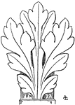 The Gothic Leaf has a general naturalistic style but details that are idealized.