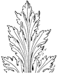 The French Renaissance Leaf design tend to look more formal. This design was found in a church in Epernay (Northern France).