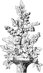 The Louis XVI Bouquet is a carving.