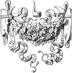 The Roman Festoon is a bouquet of fruit shown between two animal skulls.