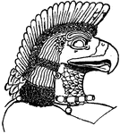 Assyrian Eagle-Head.