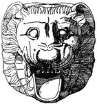 The Gargoyle Lion Head was found in Metapontum, Greece.