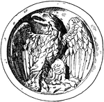 This Young Eagle design is shown on a scutella or dish during the Roman times.