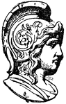 This Warrior Head design was frequently found on medallions.