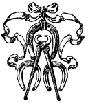 Farriery Symbol (horse's hoof care).
