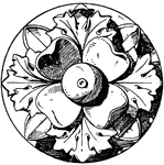 The antique rosette is an artificial rose with four divisions. It is typically found on furniture, gates, doors and as centerpieces of ceilings.