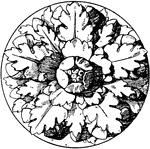 The Roman rosette is an artificial rose with five divisions. It is typically found on furniture, gates, doors and as centerpieces of ceilings.