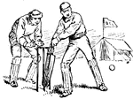 Cricket game.