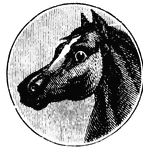 Horse head facing left.
