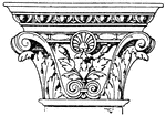 The Corinthian pilaster capital is an Italian Renaissance design. This pilaster is broader in proportion to its height. It is encircled with artificial leaves and spiral scroll like ornaments.