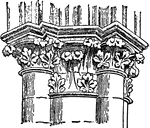 An illustration of a Gothic capitals from from Amiens Cathedral. In several traditions of architecture including Classical architecture, the capital (from the Latin caput, 'head') forms the crowning member of a column or a pilaster. The capital projects on each side as it rises, in order to support the abacus and unite the form of the latter (normally square) with the circular shaft of the column.