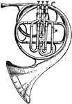The horn is a brass instrument consisting of about 12 feet (3.7 m) of tubing wrapped into a coil with a flared bell. It is descended from the natural horn and is informally known as the French horn.