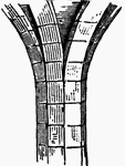 Junction between an arch and the column, pier, or wall on which it rests.
