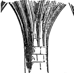 Junction between an arch and the column, pier, or wall on which it rests.