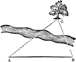 An illustration of a triangle comprised of a tree and two lines. This is an example of a problem that can be used to fine the distance of an inaccessible object without measuring elevation and whether on a horizontal plane or not.