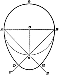 Illustration used to show how to draw an egg-shaped oval when given the diameters.