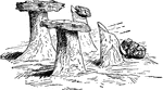 "Glacier Tables," ice-pillars protected by slabs of rock.