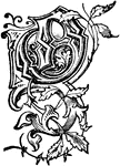 An ornate capital O surrounded by leaves and vines, used at the start of a new chapter or heading.