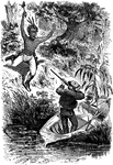 From, Bache's book The Young Wrecker, the boy Fred Ransom defends himself against a Native American man.