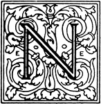An illustration of a decorative "N".
