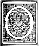 An illustration of a decorative "O".